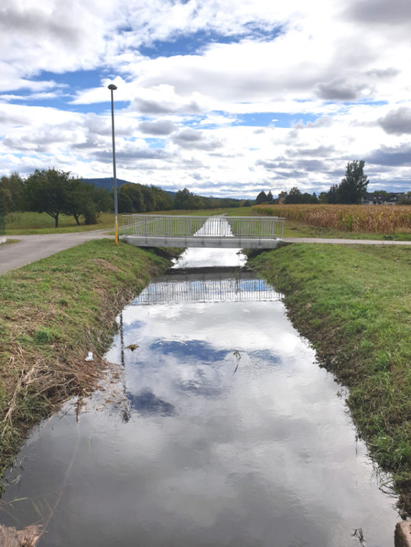 Spaziergang Richtung Haueneberstein Sandweier